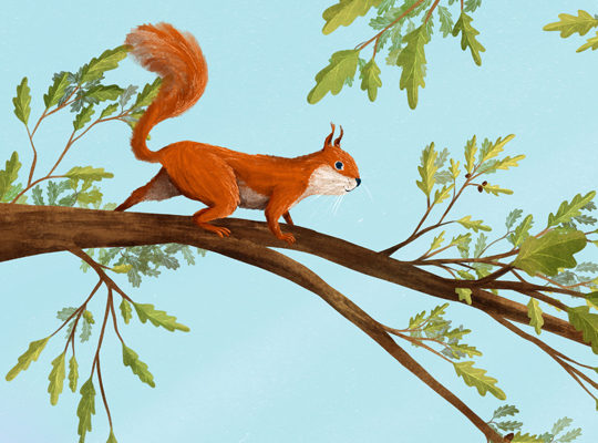 Becky Thorns Hero Image Kids Corner Illustration