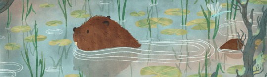 Anna Doherty Portfolio Update News Feature Image