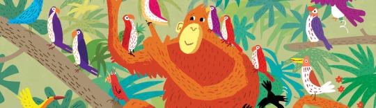 Paul Boston Orangutans News Feature Image 