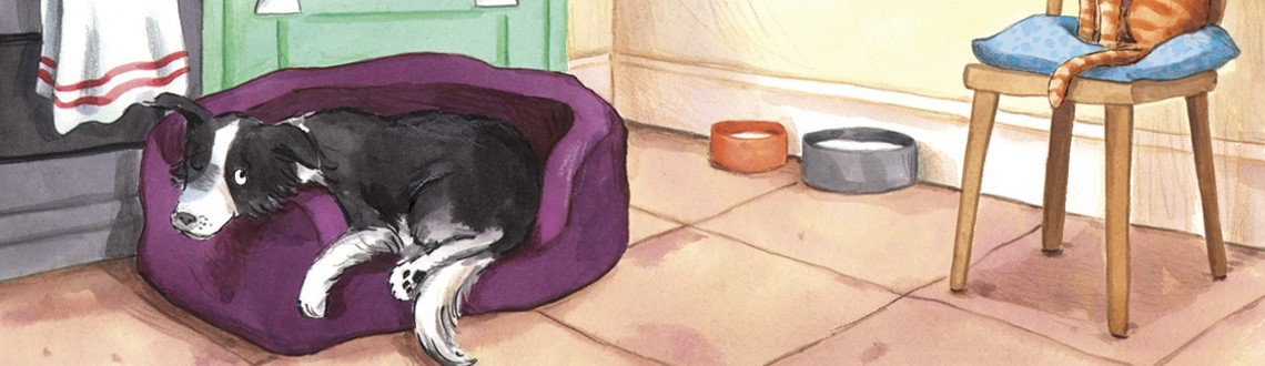 Hannah George Its a Dog's Life News Feature Image Hannah George Its a Dog's Life News Feature Image