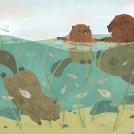 Anna Doherty Portfolio Update News Item